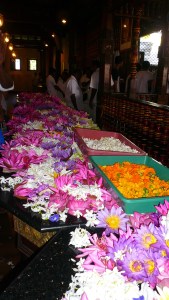 Lotus flower offerings