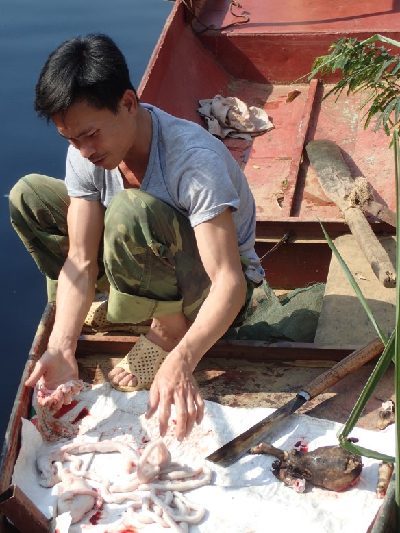 Considered auspicious to have doggy dinner while building new home