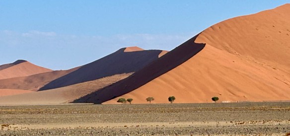 The dunes in the Namib Desert.